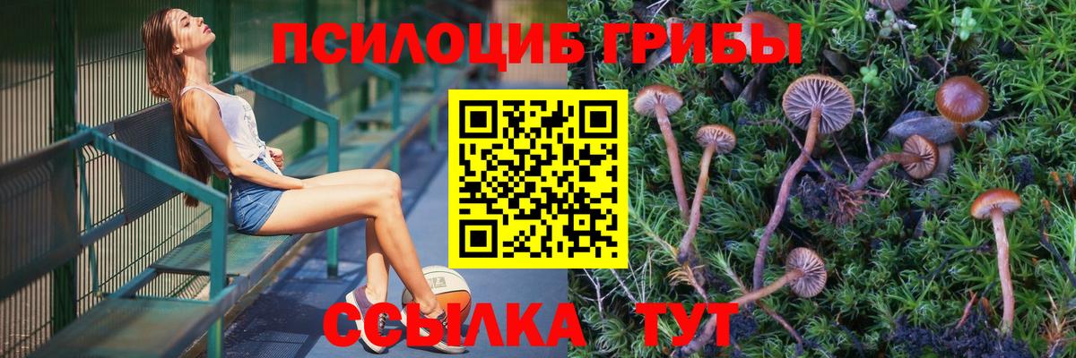 Спасск-Дальний  Псилоцибиновые грибы прущие грибы  Вход с VPN 